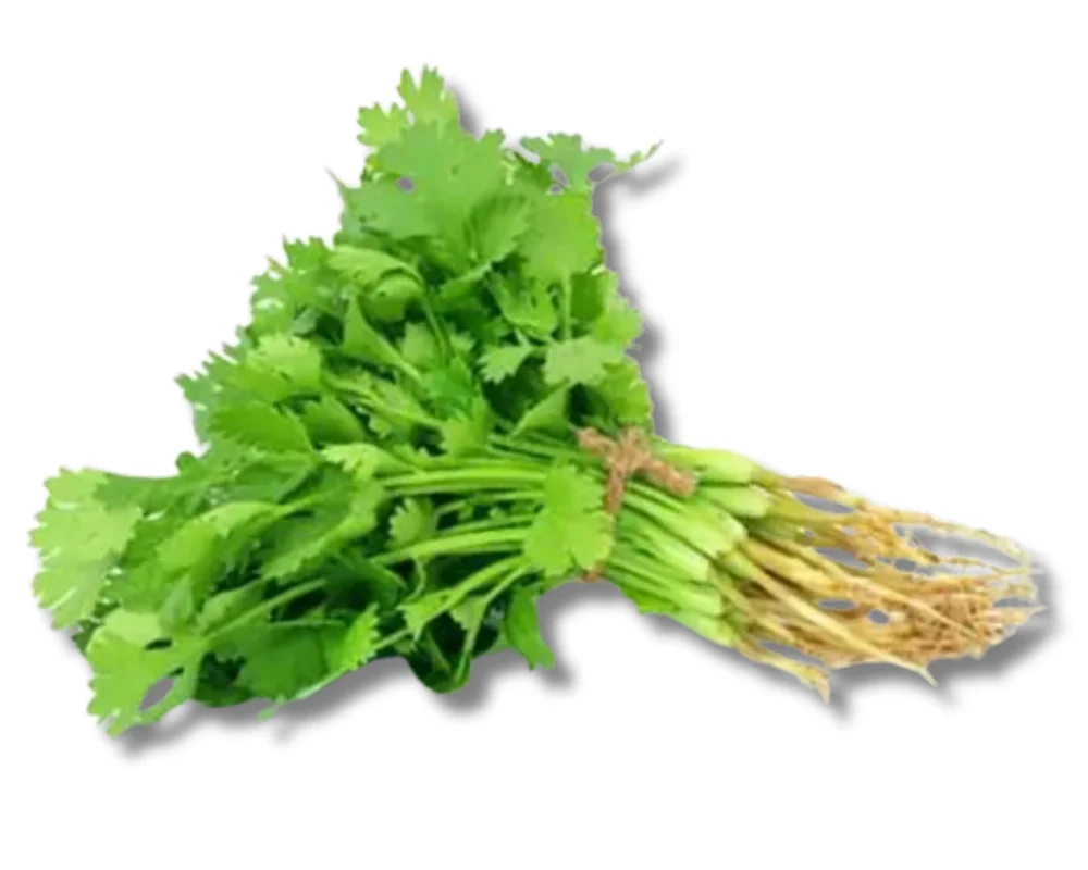 Dhoniapata (Coriander Leaf) Local